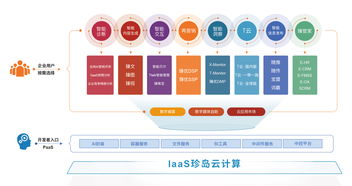 喜報(bào) 珍島榮膺2019上海軟件和信息技術(shù)服務(wù)業(yè)百?gòu)?qiáng)人工智能基礎(chǔ)軟件開(kāi)發(fā)殊榮